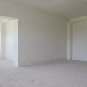 Vacant Living Area