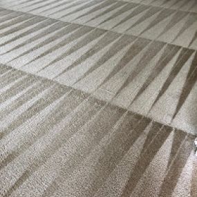 Bild von Conley's Carpet Cleaning Plus