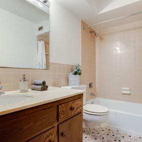 Bathroom at Wayzata Woods Apartments