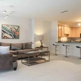 Living Room and Kitchen Area at Symphony Center Apartments