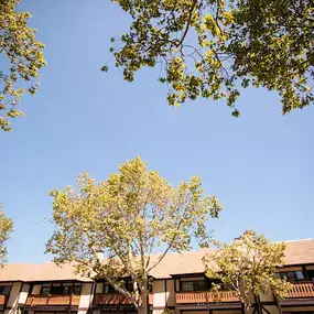 Bild von Oak Park Apartments