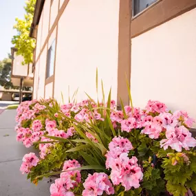 Bild von Oak Park Apartments