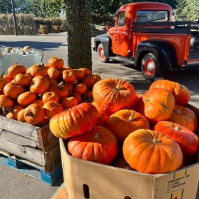 Bild von Jerry Smith Pumpkin Farm