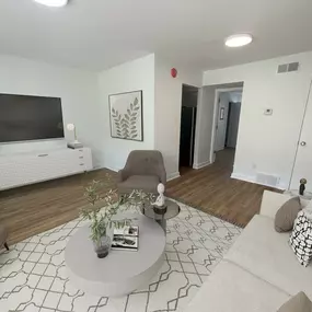 Modern Living Room