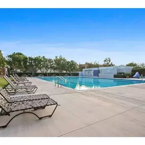 Pool at Harvard Manor