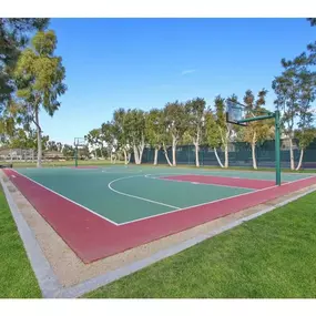 Basketball court at Harvard Manor