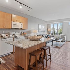 Sample Kitchen and Living Room at Orville Commons Apartments