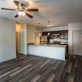 Living room and kitchen