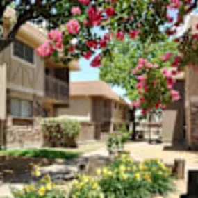 Beautiful large trees