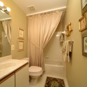 Bathroom - Mountain Ridge Apartments