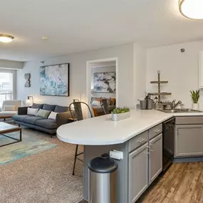 Living Room at Zen Chaska Apartments