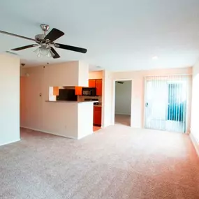 Spacious Living Room with Kitchen