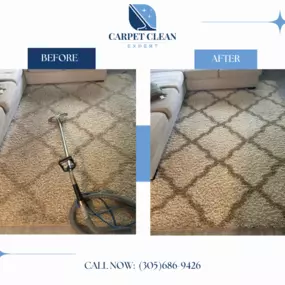 Bild von CARPET CLEAN EXPERT