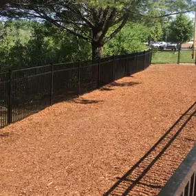 Dog Park