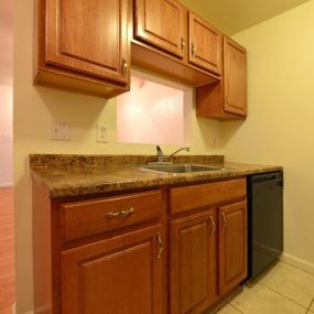 Kitchen Cupboards