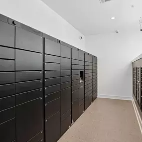 Luxer One® Package Receiving Lockers + Overflow Room
