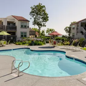 our apartments have a large pool with chairs and umbrellas