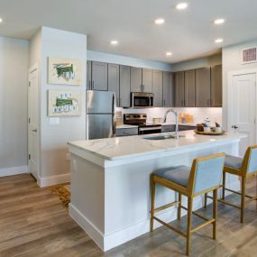 Apartment Kitchen