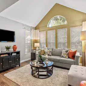 Living Room With TV