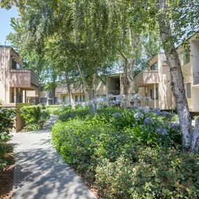 Courtyard at The Glens Apartments