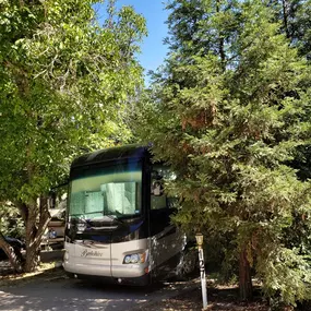 Bild von Resthaven Mobile Home Park