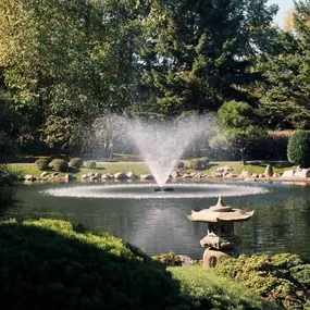 The type of pond aeration system you need depends on the depth of your pond. For more shallow ponds (about 6 feet or less) a fountain aerator that sits on the surface works best. When the water spraying from the fountain rains on the pond, it increases the amount of oxygen within the water. This oxygen is needed to help bacteria grow that break down unwanted organics, such as algae.