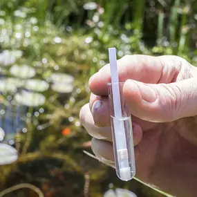 Our maintenance division is devoted to residents, communities, and property managers to ensure that your pond and water feature runs all season long. Whether you have a small koi pond, simple water feature at your property entrance, or multiple ponds through the community, we can help make sure it's in tip top condition all season.