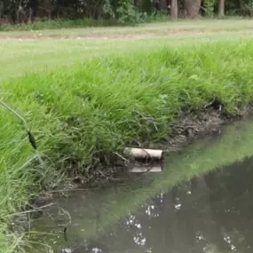 When your pond is improperly treated or not treated at all, it can experience overgrowth of algae and weeds, leading your pond to look unattractive. In subdivisions or commercial areas, the last thing you want is to appear as though you don’t maintain your property. The Pond Place of Michigan offers chemical water treatments to solve your pond’s overgrowth and to keep your pond looking nice.