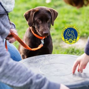 Bild von Dog Trainers Workshop and Boarding
