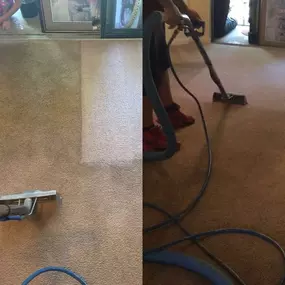 All Clean Carpet & Upholstery | Carpet & Upholstery Cleaning | Orlando, FL