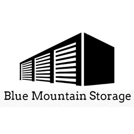 Logo from Blue Mountain Storage