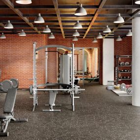 High-end fitness center with ample machinery and free weights