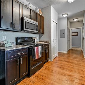 nxnw tallahassee student apartment kitchen oven