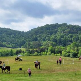 Bild von Blue Point Stables