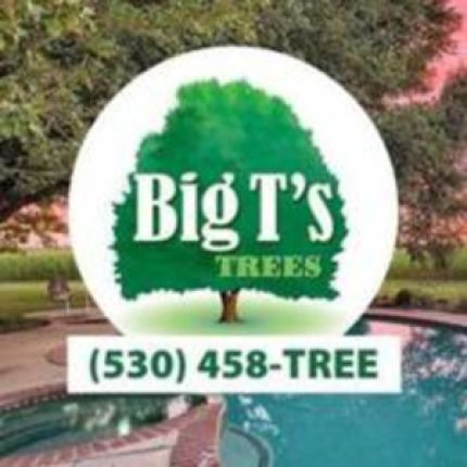 Logo od Big T's Trees