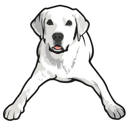 Logo fra Tucker Pup's Pet Resort