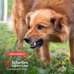 Bild von Scherline Injury Law