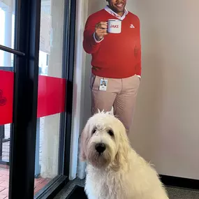 Maverick hanging out with Jake from State Farm!