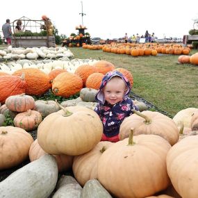 The cutest pumpkin in the patch!