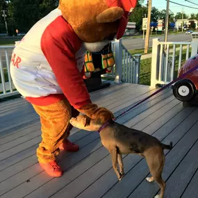 Neighbear making friends!