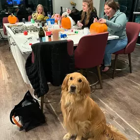 Pumpkin Painting 2024!