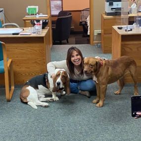 State Farm pups in the office today!