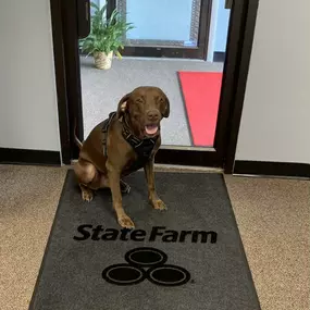 State Farm Pup