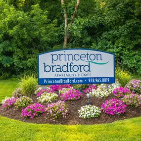 Bild von Princeton Bradford