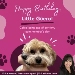 It’s an important day for one of my furry babies, little Güero! ???? He’s a beloved part of my family and a fun and playful presence in the office. Join us in wishing little Güero a happy birthday and sending him all the treats!