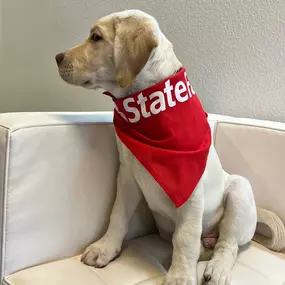 State Farm Agent for Sonoma County, catch me riding around on my scooter. When I am not riding you will see me hiking or walking my dog Coco. As adventurous as I am, I understand the risks that life can bring. Call me to protect you from the unexpected.