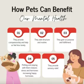 Take care of your pets like they care for you by taking advantage of pet insurance. Give us a call or stop by our office to discuss all of your pet insurance coverage options.