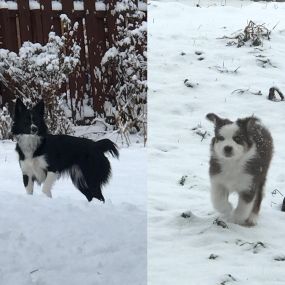 Enjoying the snow!