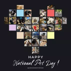 Happy National Pet Day! Let's show some love to our furry friends who make our lives brighter every day. Whether they're a cuddle bug, a goofball, or a loyal companion, let's celebrate all the joy they bring into our lives.