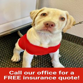 Give us a call for a free insurance quote!